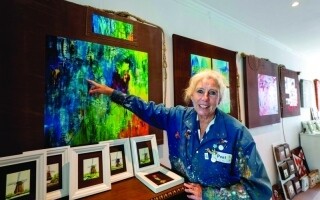 Нидерландский художник запускает кампанию по защите ветряных мельниц