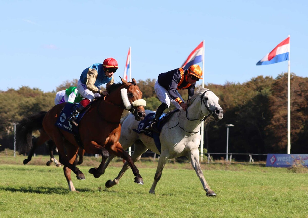 Финал соревнований Кубка президента для лошадей в Лаахай
