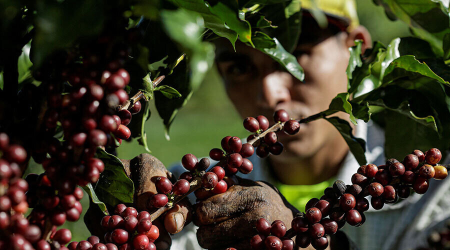 Сдвиг на глобальном кофейном рынке от Rabobank