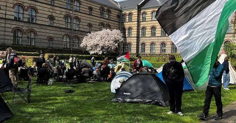 Протестующие в поддержку Палестины заняли здания университетов в Амстердаме, Гронингене и Эйндховене