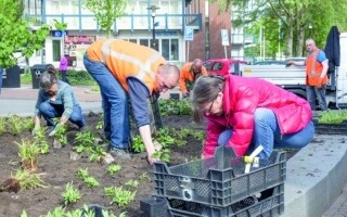 Национальный конкурс по удалению плитки в Гааге